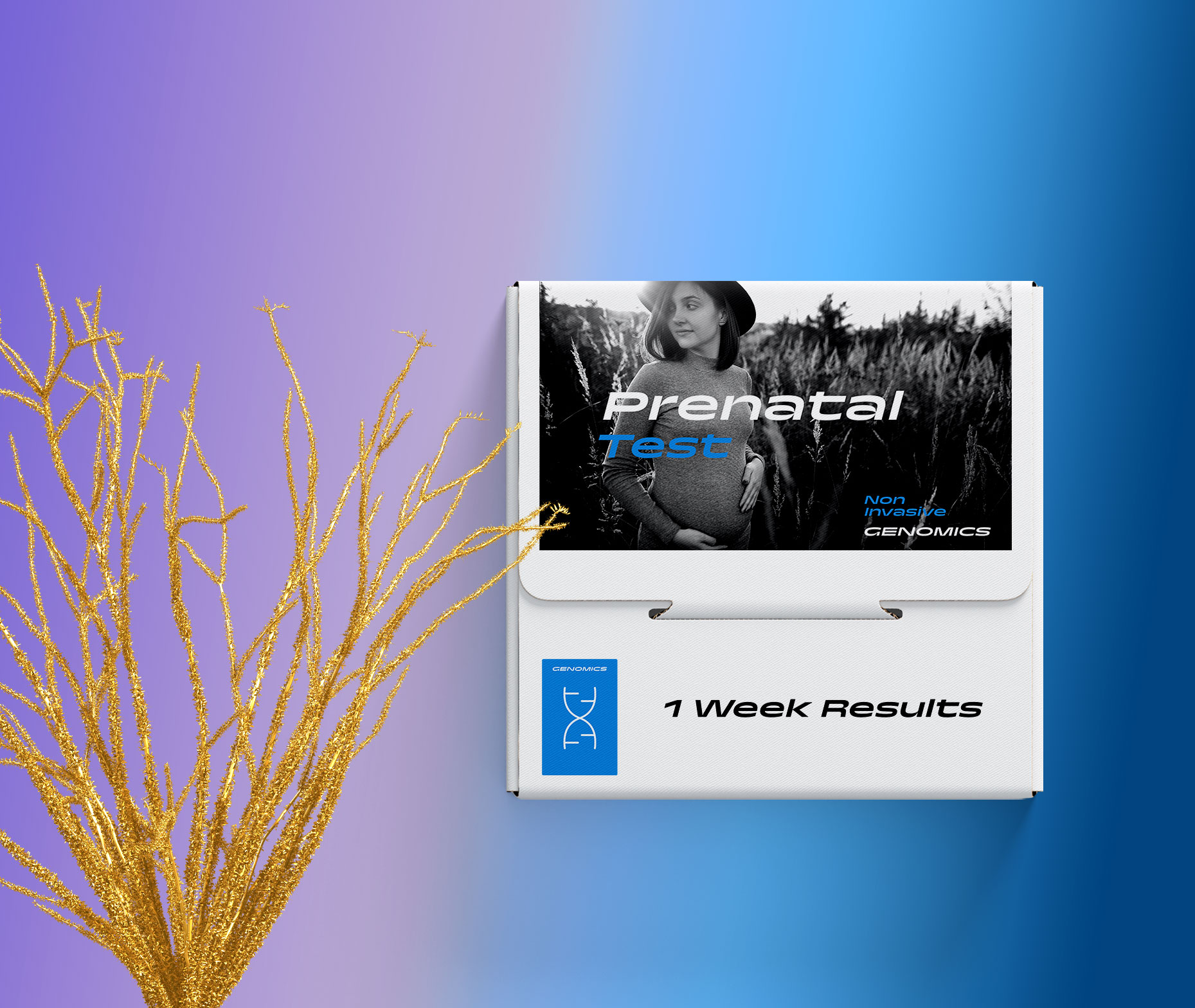 Prenatal DNA Testing 